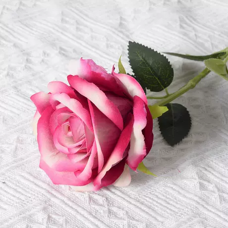 Large velvet rose red