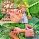 �����������绨���ƹ�ӣ�������˹��ڷ۵㻨�������������������