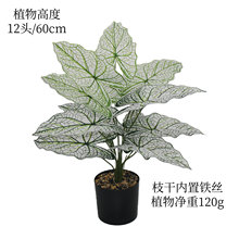 ����Gֲ�׼y�����~�͏d���@�҃���������b����z�ָм�ֲ�����l