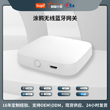 定制款 涂鸦智能家居蓝牙网关 app远程控制无线蓝牙Mesh+SIG功能