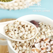 �F�ݴ�޲�������������r��޲��������s�Z��؛Ŵ���������Ҝ�����