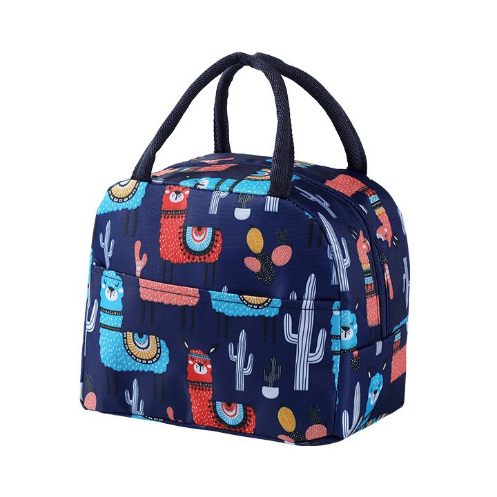 티베트 블루 알파카