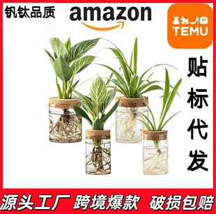 ���R�dͬ��ľ���AͲ����ˮ�໨ƿ �����b� ͸������С��ƿ