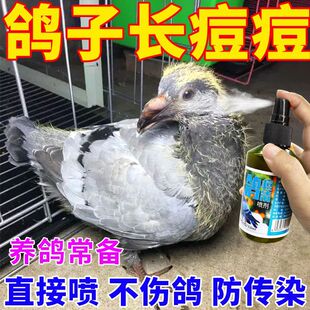 �������á���ȫ����������������۽ǳ���_ֺ�L�����B�����Ç���