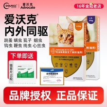 ���xһ�w����xș������\؈؈����xș�w�ȳ���؈����������