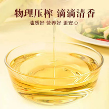 �����N�������������ѿ��5L
