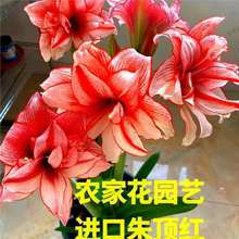 rһ@ˇM피tN^҃谢׷N15Ȱl؛