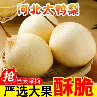 ���ںӱ�����ˮ�������r���Ӵ����殔����������֭�S�����l