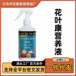 花叶康花叶护理营养剂观叶植物园艺通用防黄叶枯叶促花爆花催花肥