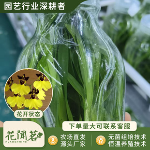 ���������m0812���Z����ƿ��M�����״���҃������Ի�������r��