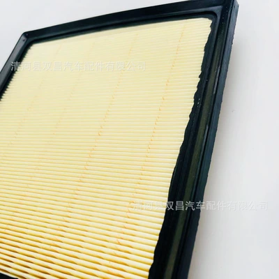 Air filter 18 New Forester Air