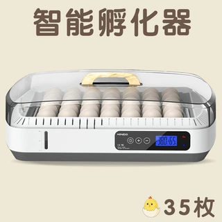 WONEGG 35枚小鸡孵蛋器 养殖鸡蛋孵化器鸟类孵化机家禽小鸡孵化箱