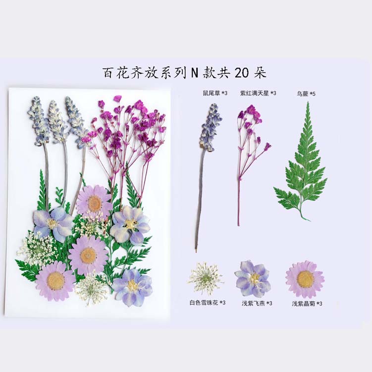 Paquete de material en relieve jardín de infantes en relieve DIY marcador epoxi flor seca caja del teléfono en relieve planta muestra