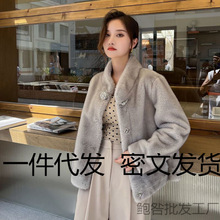 水貂皮草秋冬外套新款短款立领皮毛时尚一体显瘦小款黑色咖色