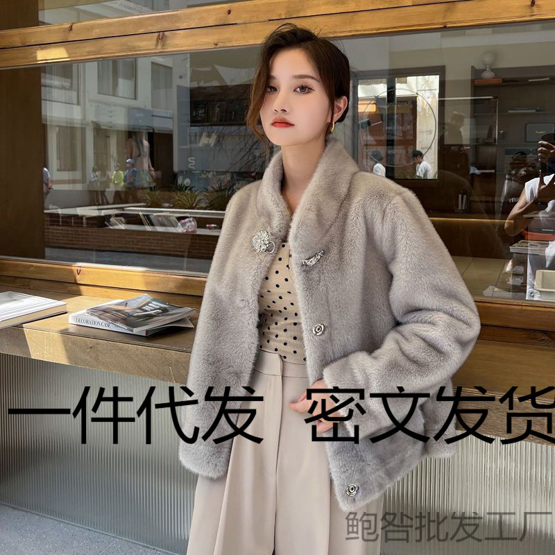 水貂皮草秋冬外套新款短款立领皮毛时尚一体显瘦小款黑色咖色