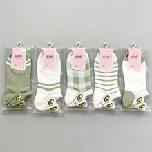 ţ�͹��m���ļ��ɐ����w�̽��m��Ů���m�\���n�����m�S�����l