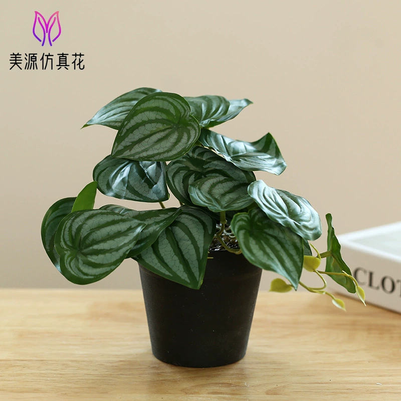 New hanging green plant bonsai manufacturer Plant bonsai Creative Room indoor small ornaments Amazon green plant