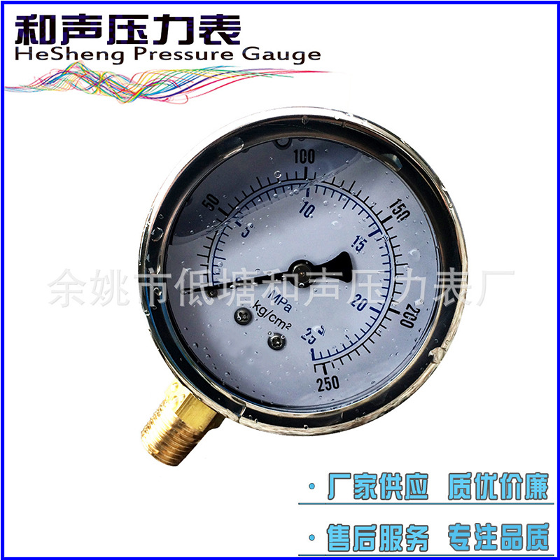 ������Ӧ����ѹ������������������ѹ����YN63-25MPA��ձ�