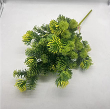 ��֧���~�G�}�廨�ٻ�����С�������ϻ������Gɫֲ��G�~�ٲ��b�