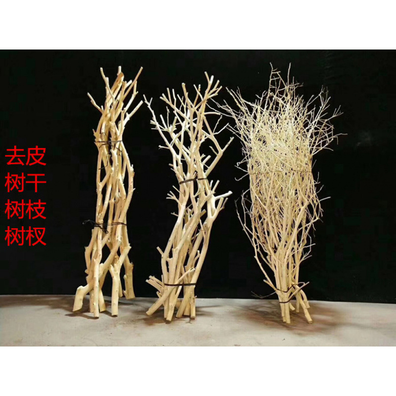 干树枝插花原木杈艺术干支枯枝枯木去皮树杆造型壁挂衣架树干装