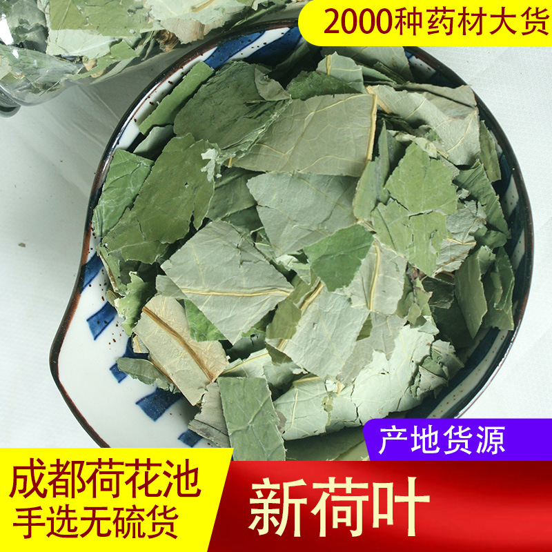 荷叶干正品干荷叶片泡茶何叶茶泡水菏叶冬瓜荷叶茶排500克