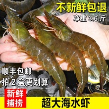 新鲜海捕大虾海虾大对虾鲜活冷冻基围虾明虾非青岛大虾水产