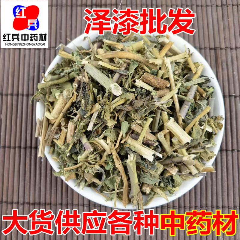Dried Euphorbia Helioscopia Ze Qi 泽漆 Whole Herb Bulk Wholesale Chinese Herbal Material overview