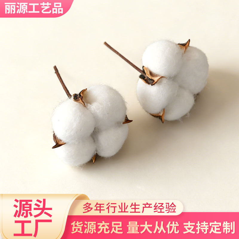 仿真棉花枝天然棉花带壳带杆干花珠宝店婚庆装饰布置用仿真棉花