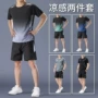 健身夏季短袖跑步运动服