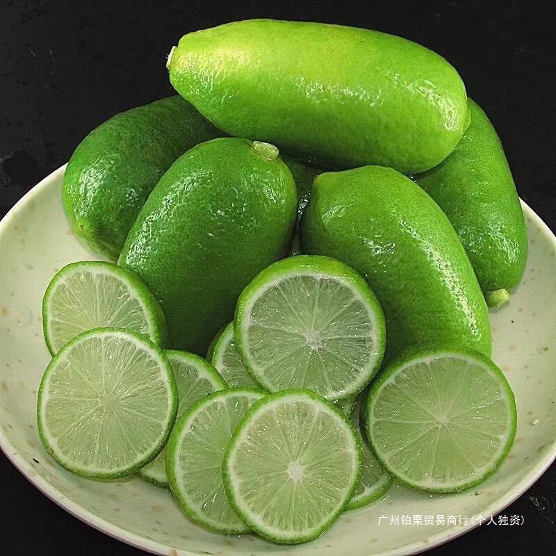 Hainan Green Lemon Seedless Perfume Lemon Fresh Fruit for Milk Tea Shops, Whole Box Wholesale from Factory, Single Piece Wholesale