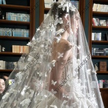 ɫwɭϵ^鼆عYA^βܛ~β