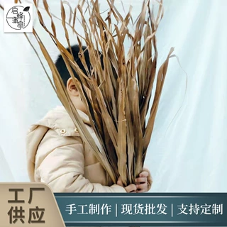 厂家供应现货批发棕榈叶蒲葵叶须天然植物花束拱门装饰布置好适用