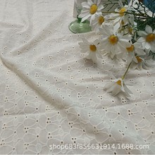 ȫȫˇ9088C̽ЬñȲˇˇH1217