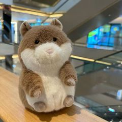 高迪豚鼠毛絨玩具可愛柔軟公仔玩偶娃娃女生禮物