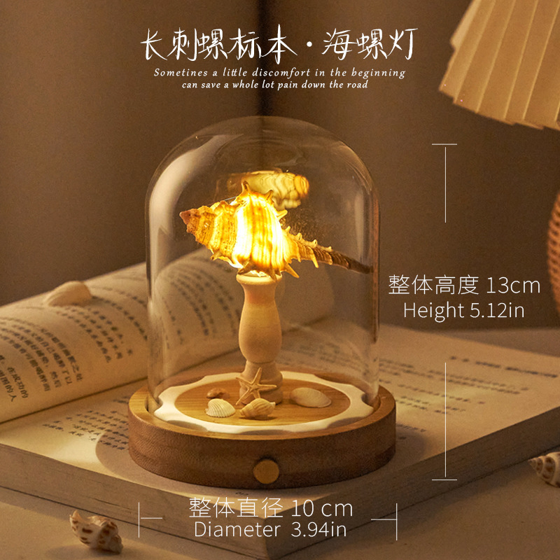 貝海胆ナイトライトガラスカバー完成品 DIY 材料パッケージチームビルディング活動のお供誕生日ギフト装飾品|undefined