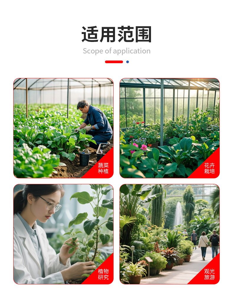 连栋薄膜温室大棚