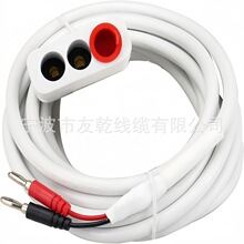 952-ST/DIG 12 Ӣ�� - �͸��g������Q�}�Ȼ�ϵ�y���}о������