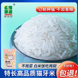 �����l ����؈����10��20���b�L����������L����̩�����׽z����