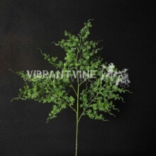 ����ɭϵ���\�ݾӼҿ͏d�[����c�b�ֲ�����ՔzӰ���߷�����~