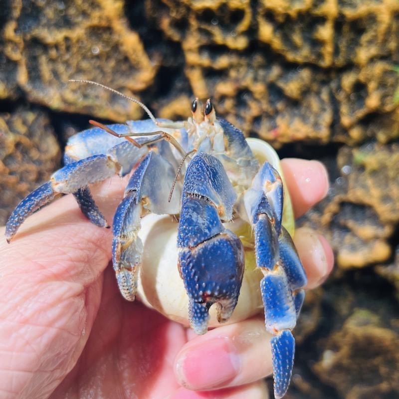 555f7071-20df-4303-b5c0-d7dad35712b6.jpe