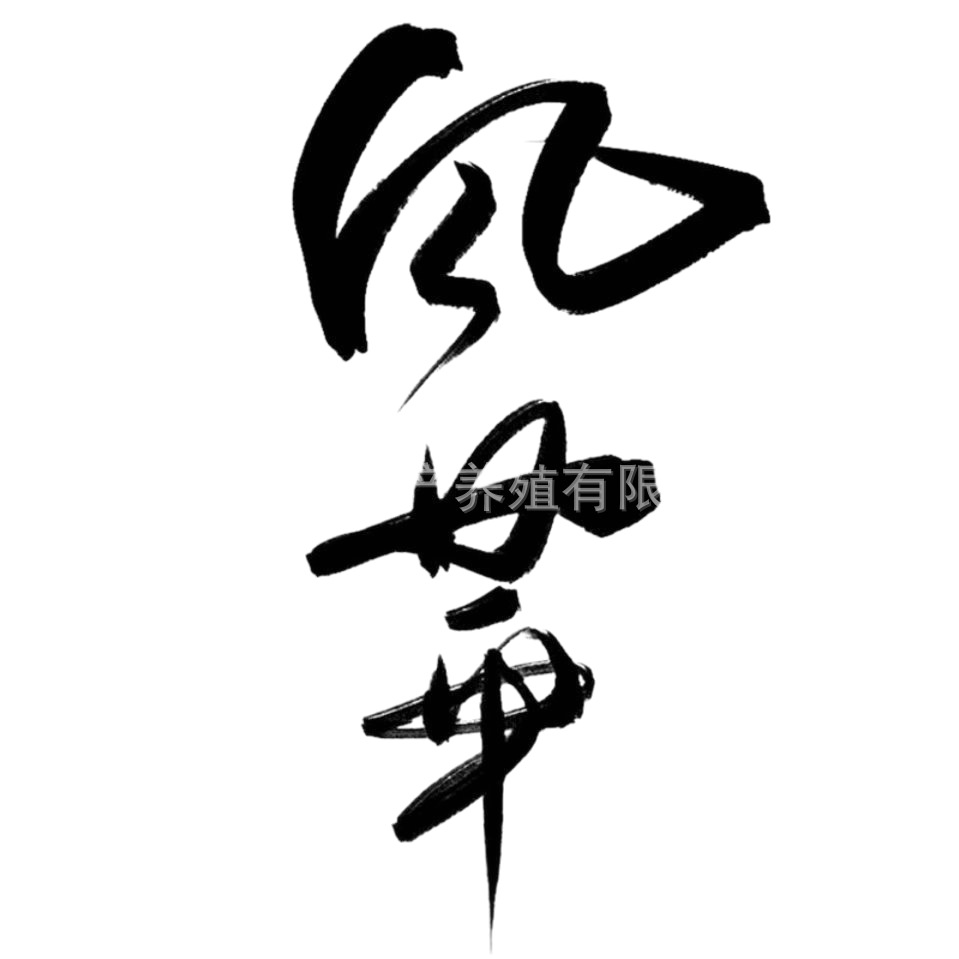 商品图