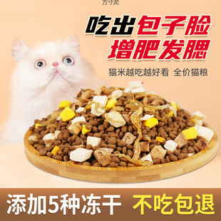 Freeze-Dried Cat Food for Adult Cats and Kittens, General Cat Snacks Wholesale 1kg 1.0kg Cross-Border Factory Export Wholesale