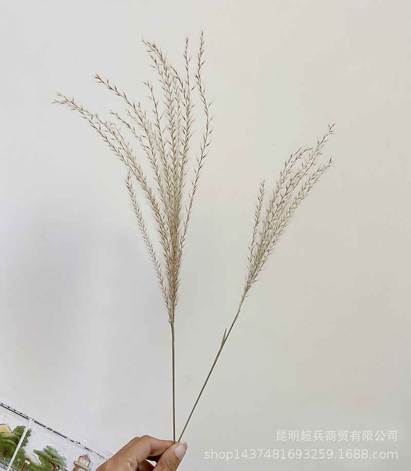 QQ图片20211106150804.jpg