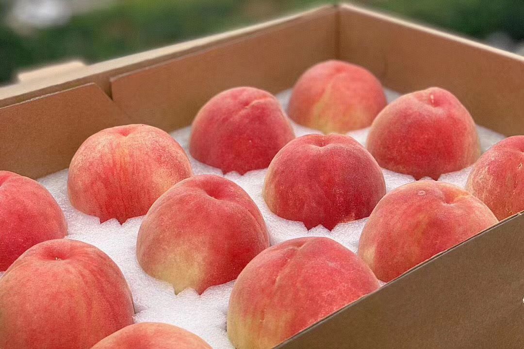 厂家供应白色珍珠棉桃子水蜜桃缓冲快递包装泡沫/成型异形包装