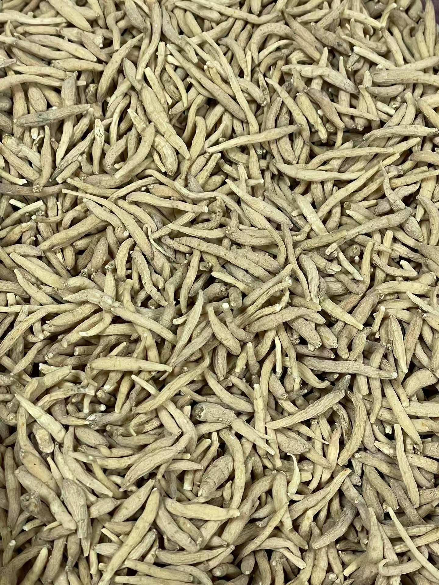 Dried Tai Zi Shen Root Slices Bulk 250g孩儿参 Large Grade Fujian Origin specifications