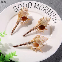 ��Ȼ����ؐ�������׹��ݼľ�з��Q���~���b�Ʒ�쾰�[���S��ֱ�N