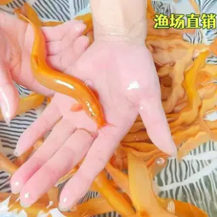 ���q�絭ˮ�^�p�~���S�����q�����q�~���坍�~�����~����B����