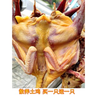 �I1��1�������خa�r�������L�����uɢ�B���u�D�u�����D���؛��ֻ