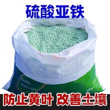 ���၆�F�����F�ʗd���������R�G�}�����F�䌣�÷ʻ������Է�ͨ��