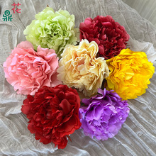 Fĵ^ K »Y÷滨 zӰ߲廨ٻ